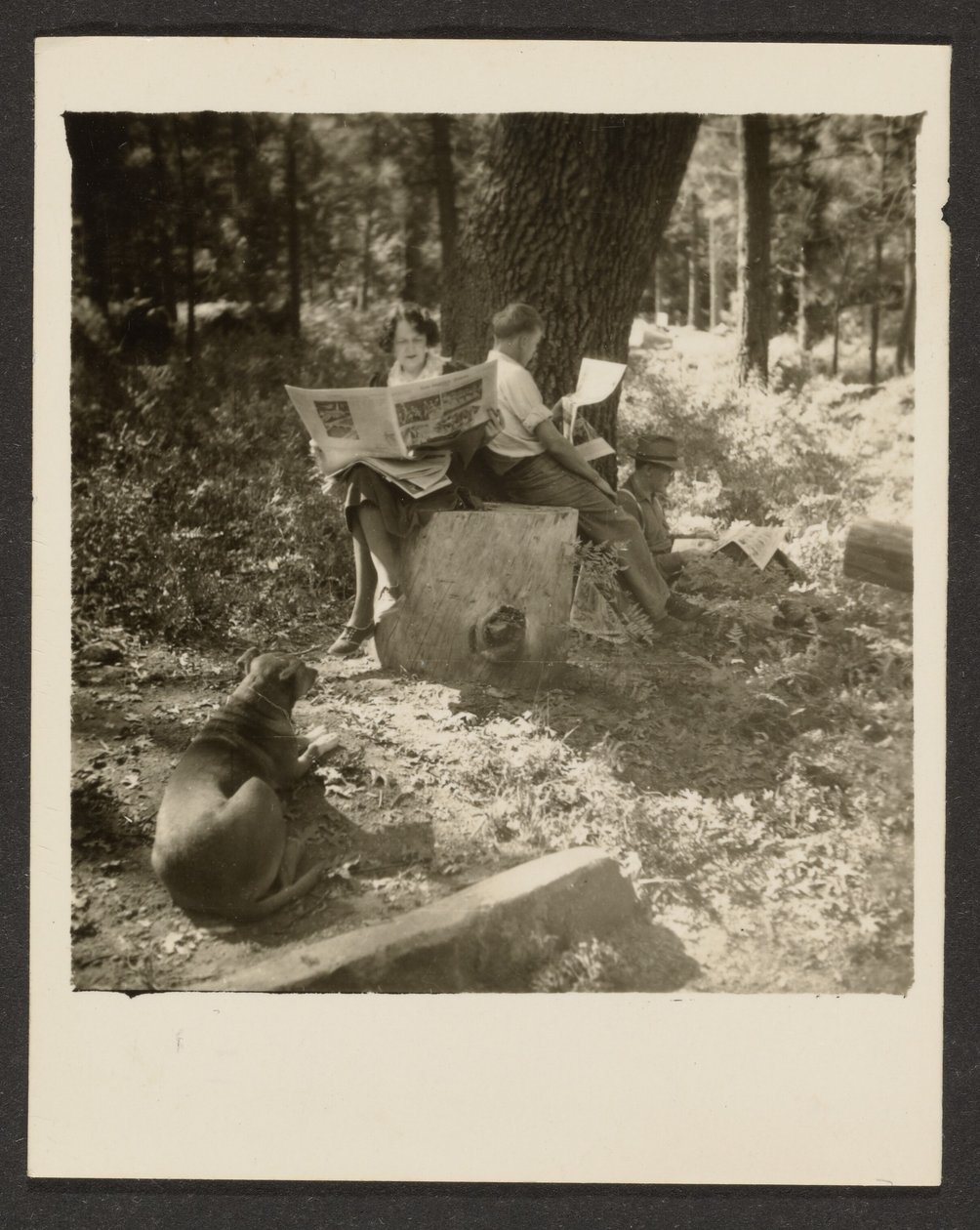 [Couple Reading Newspaper in Woods] by Louis Fleckenstein