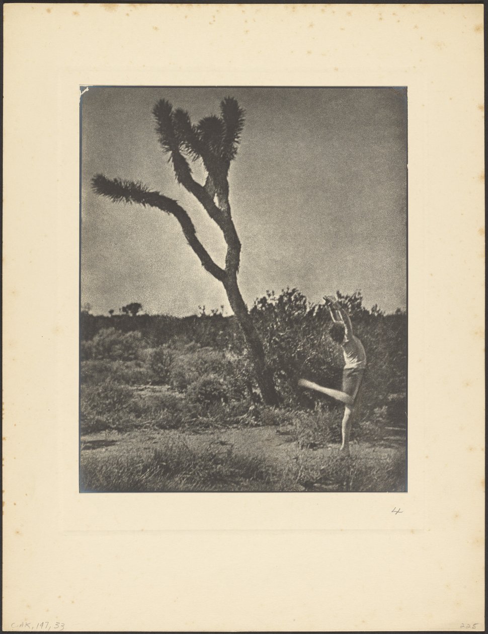 Dancer at Joshua Tree by Louis Fleckenstein