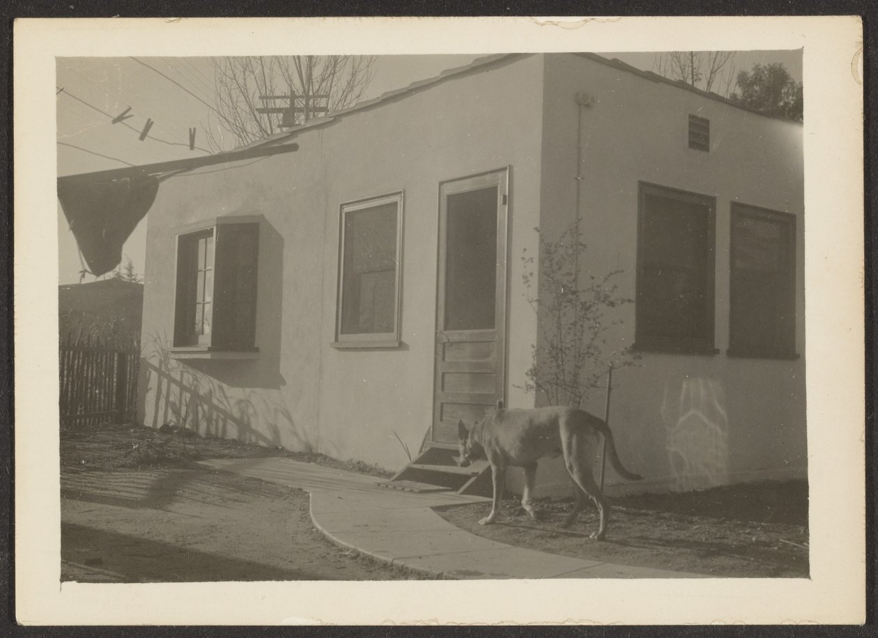 Dog near House by Louis Fleckenstein