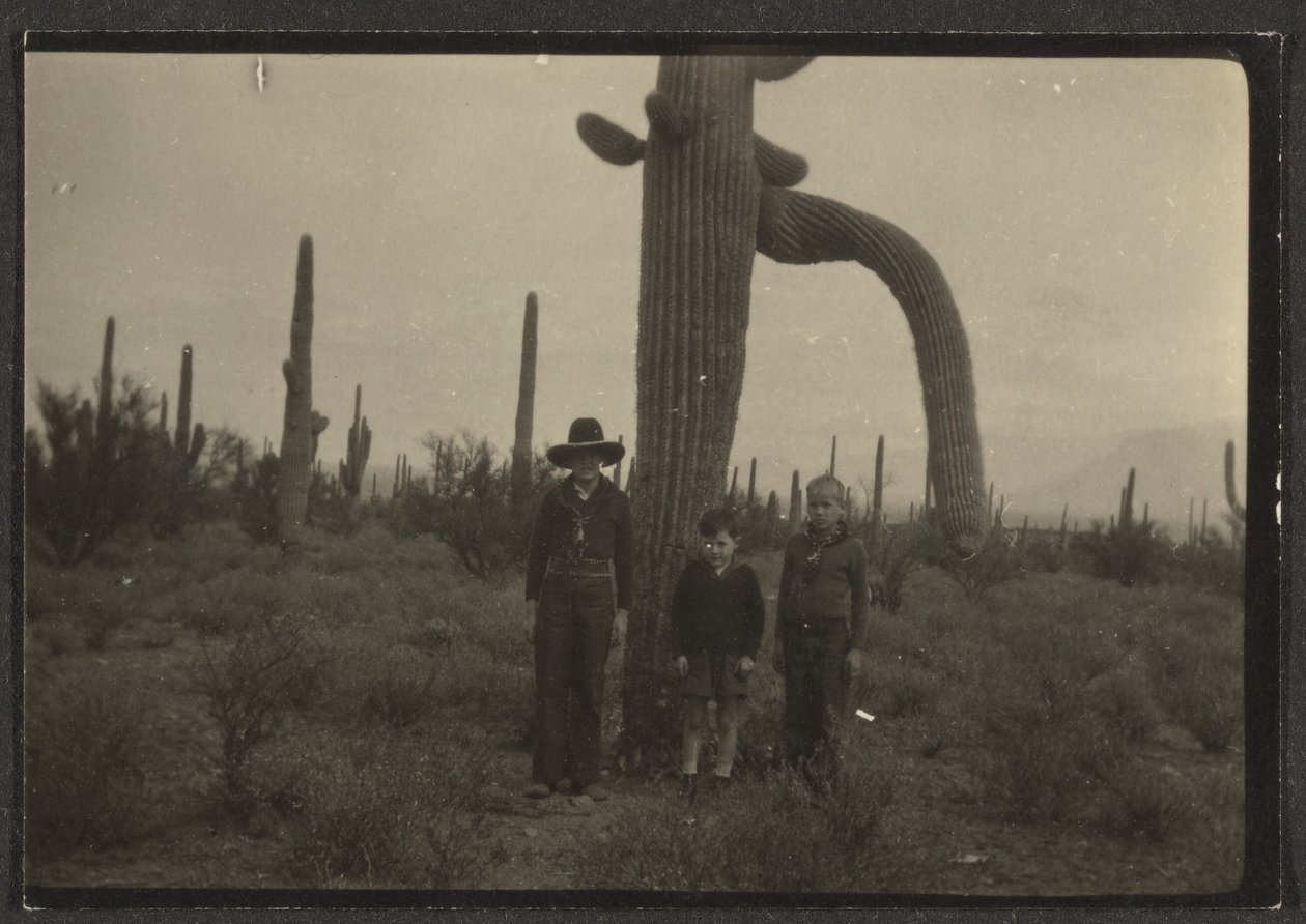 Figures with Cactus by Louis Fleckenstein