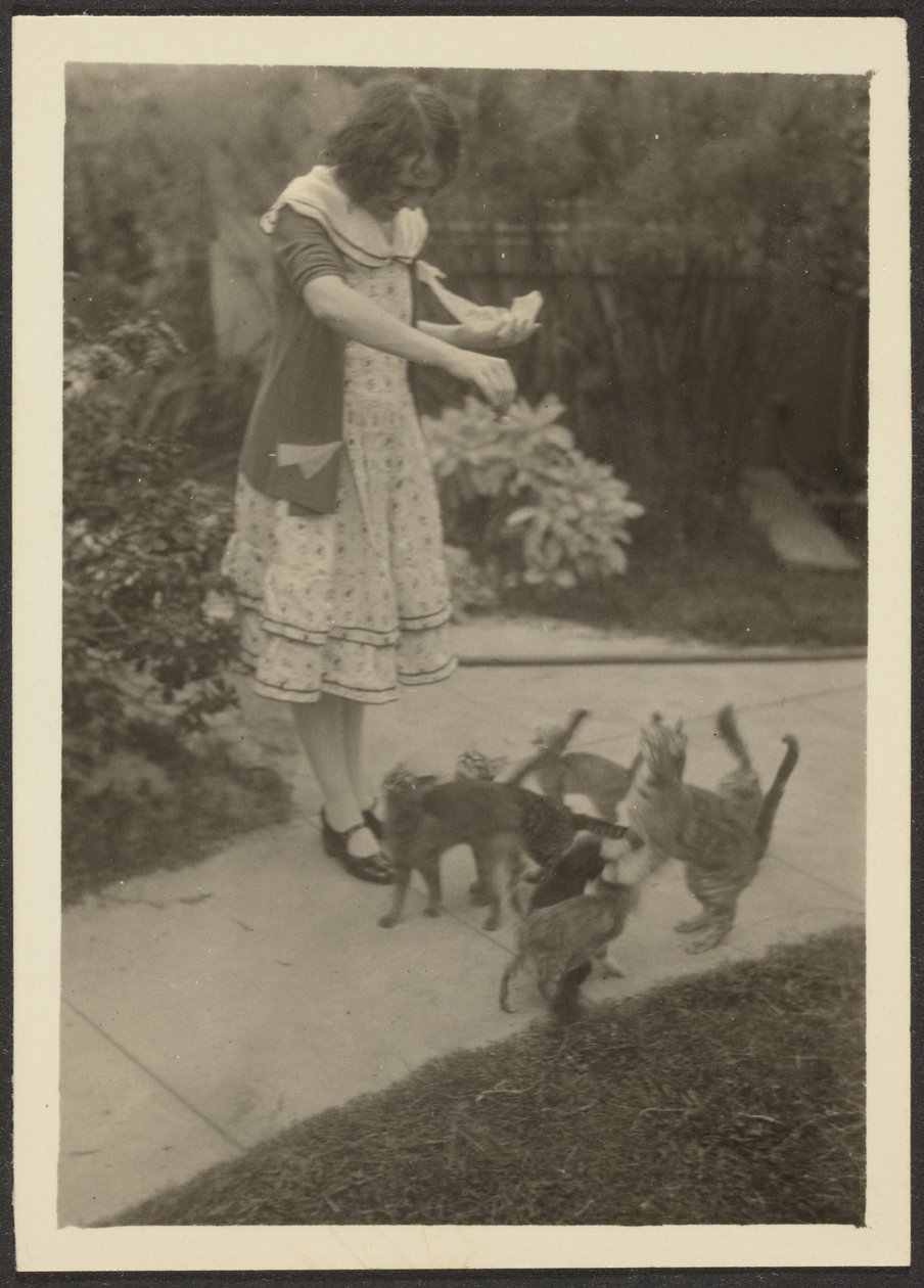 Florence and Cats by Louis Fleckenstein