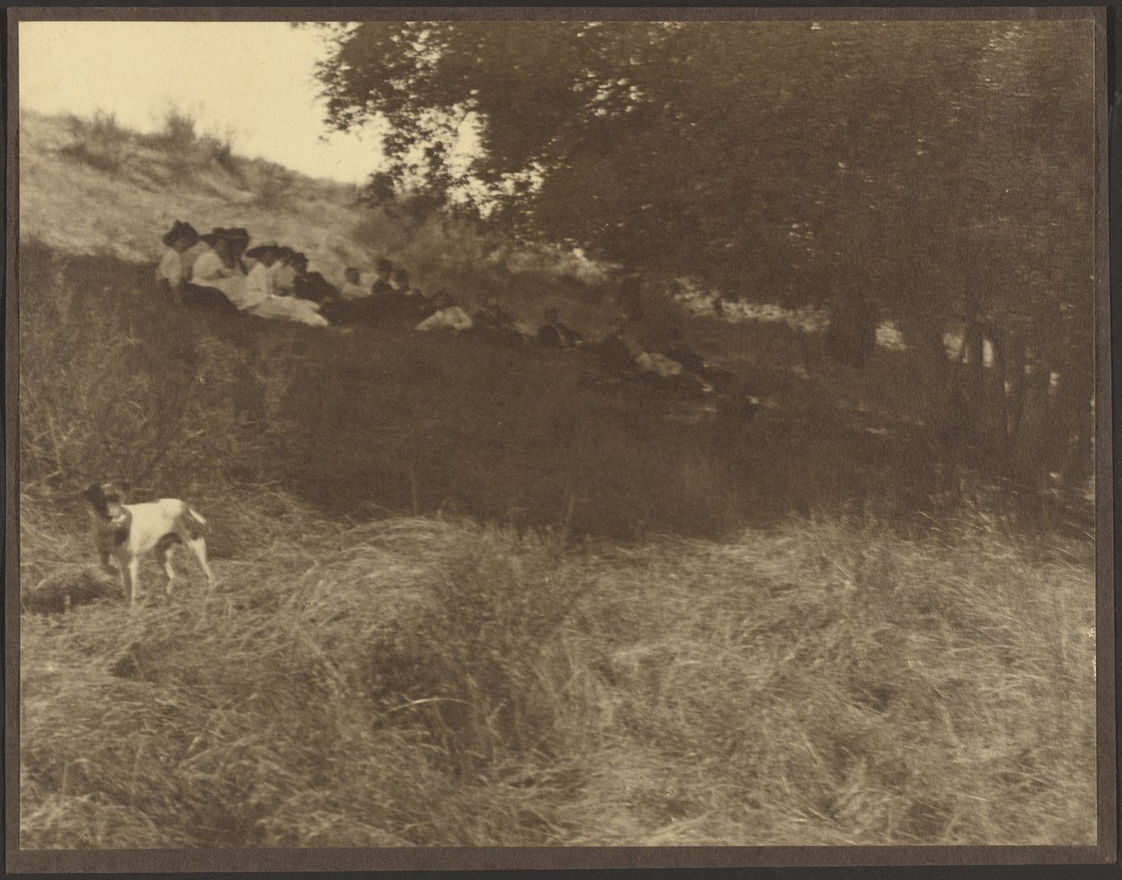 Group Portrait Resting in Field with Dog by Louis Fleckenstein