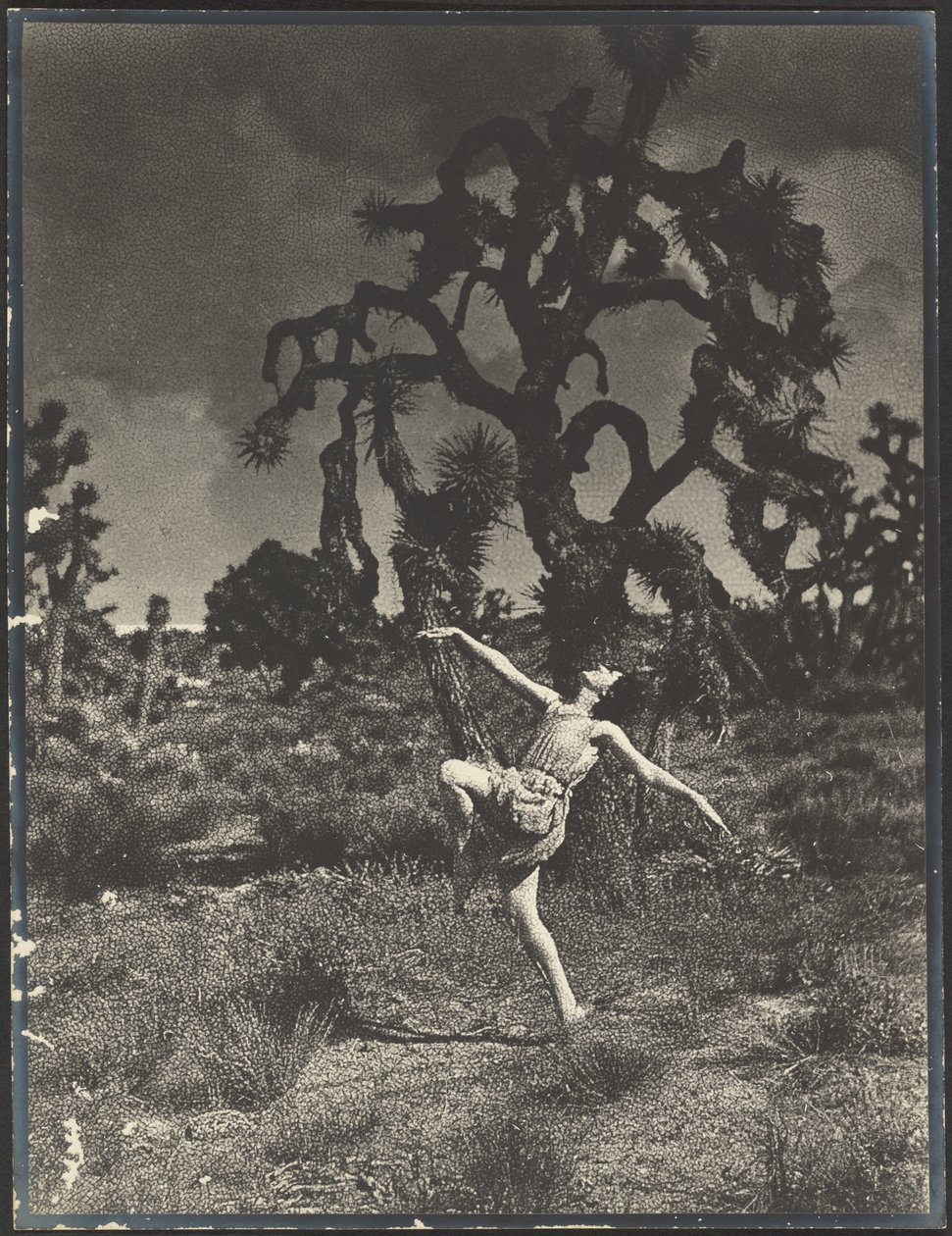 Inspiration of the Dance by Louis Fleckenstein