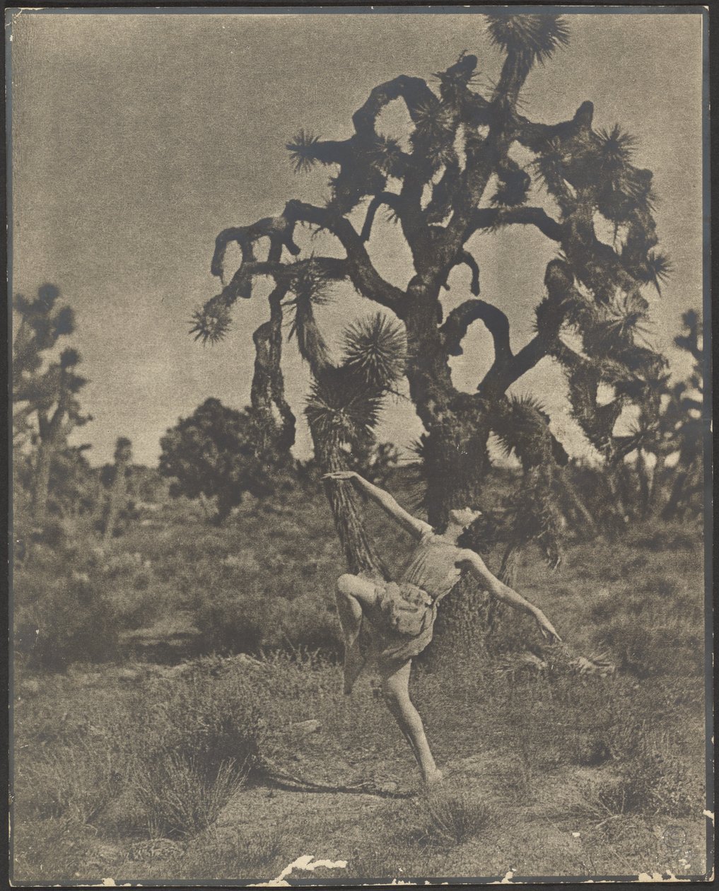Inspiration of the Dance by Louis Fleckenstein