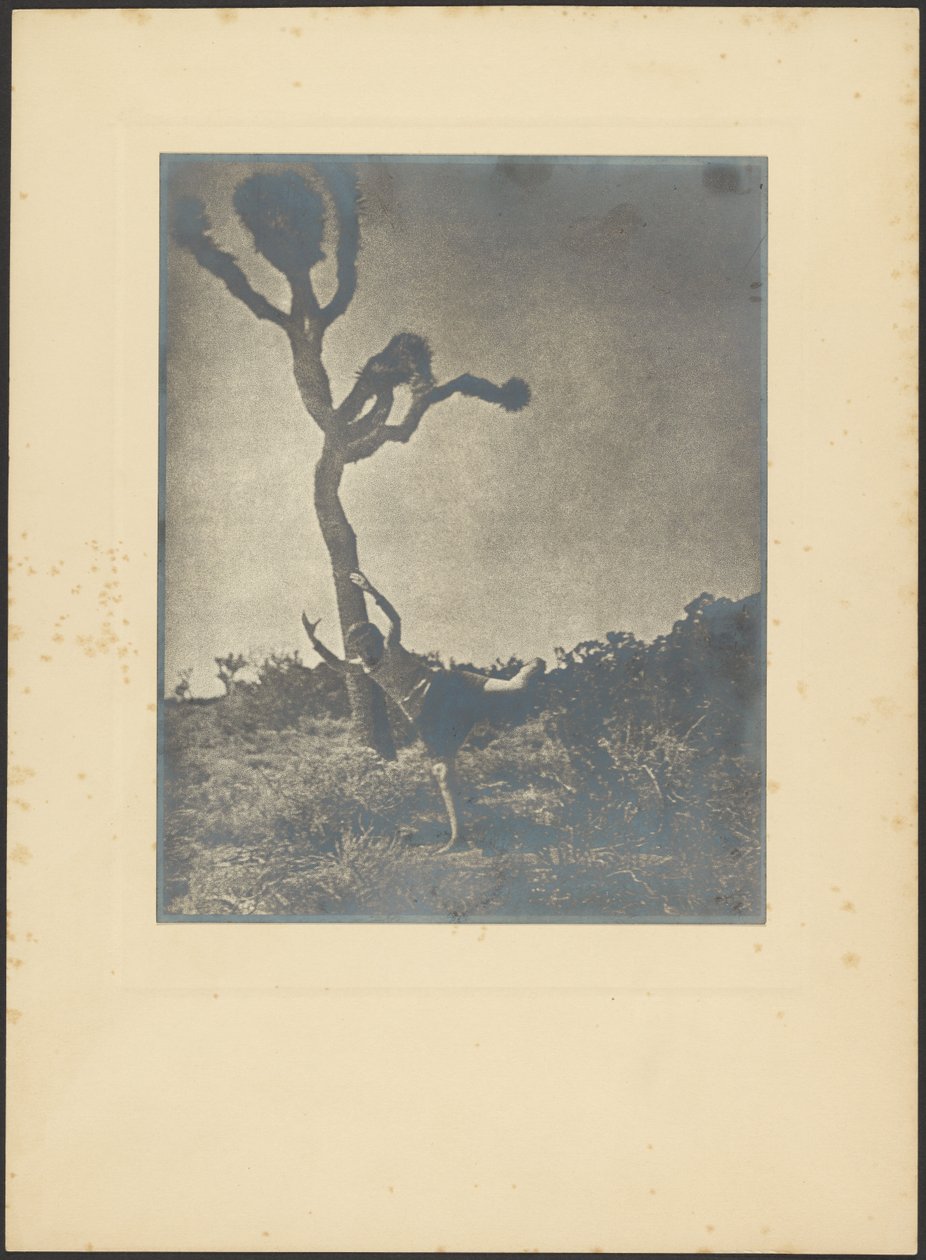 Lithe and Graceful - Dancing Joshua by Louis Fleckenstein