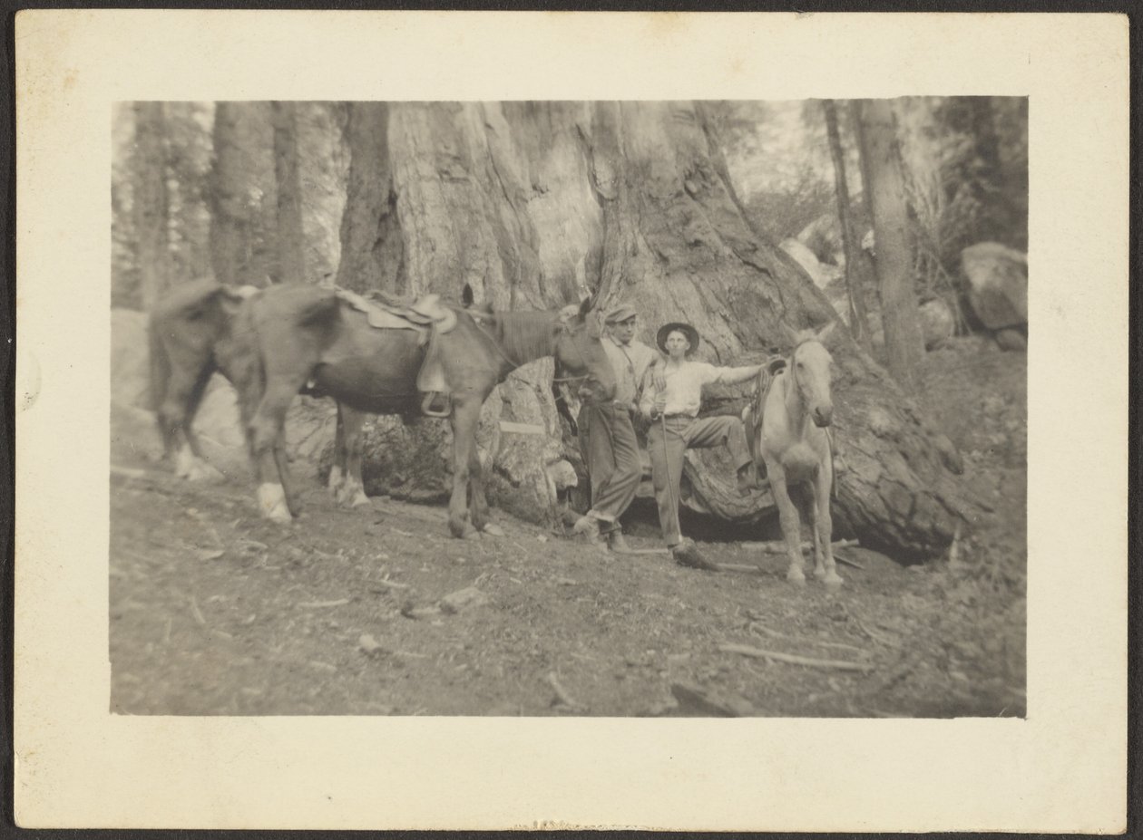 Men and Pack Horses in Forest Clearing by Louis Fleckenstein
