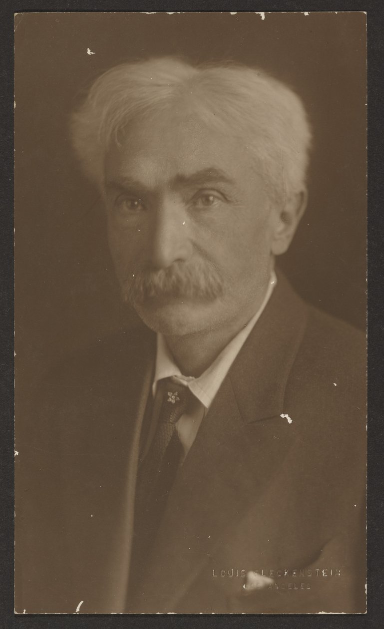 Portrait of a Man with Flower Tie Pin by Louis Fleckenstein