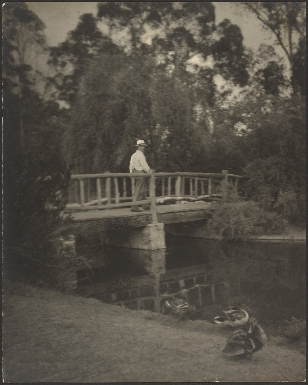 Rustic Bridge by Louis Fleckenstein