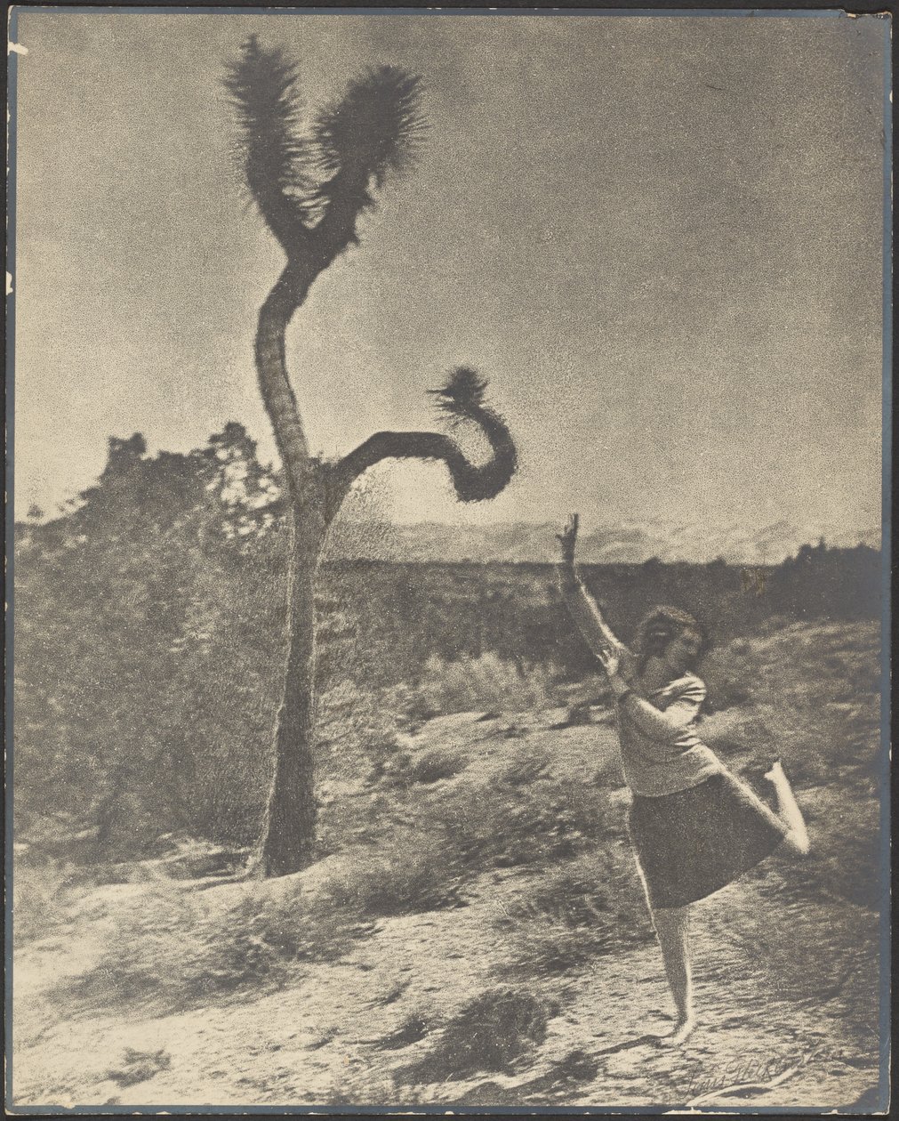 The Corkscrew Twist by Louis Fleckenstein
