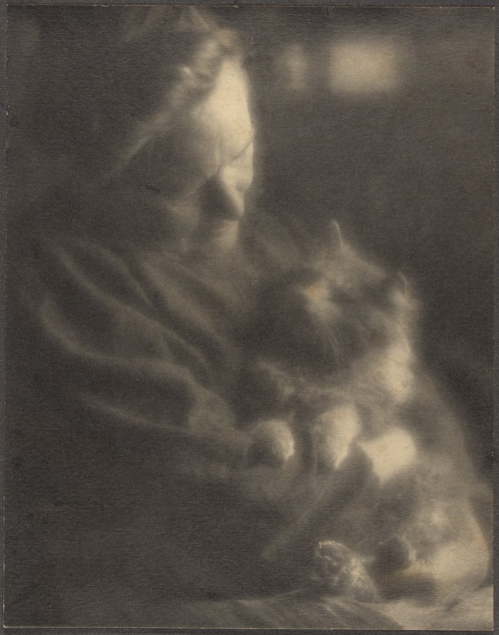 The Pet Angora by Louis Fleckenstein