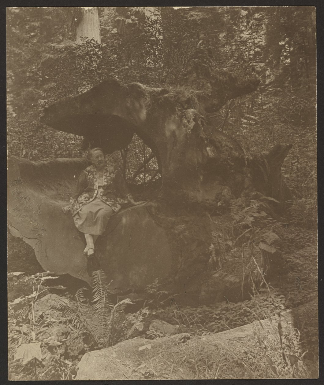 Woman Sitting on Rocks, Possibly Mrs. Fleckenstein by Louis Fleckenstein