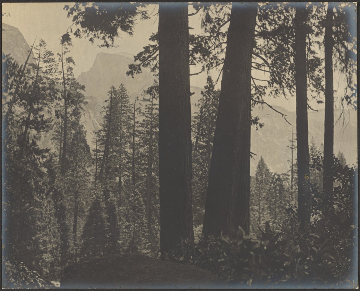Woodsy Landscape by Louis Fleckenstein