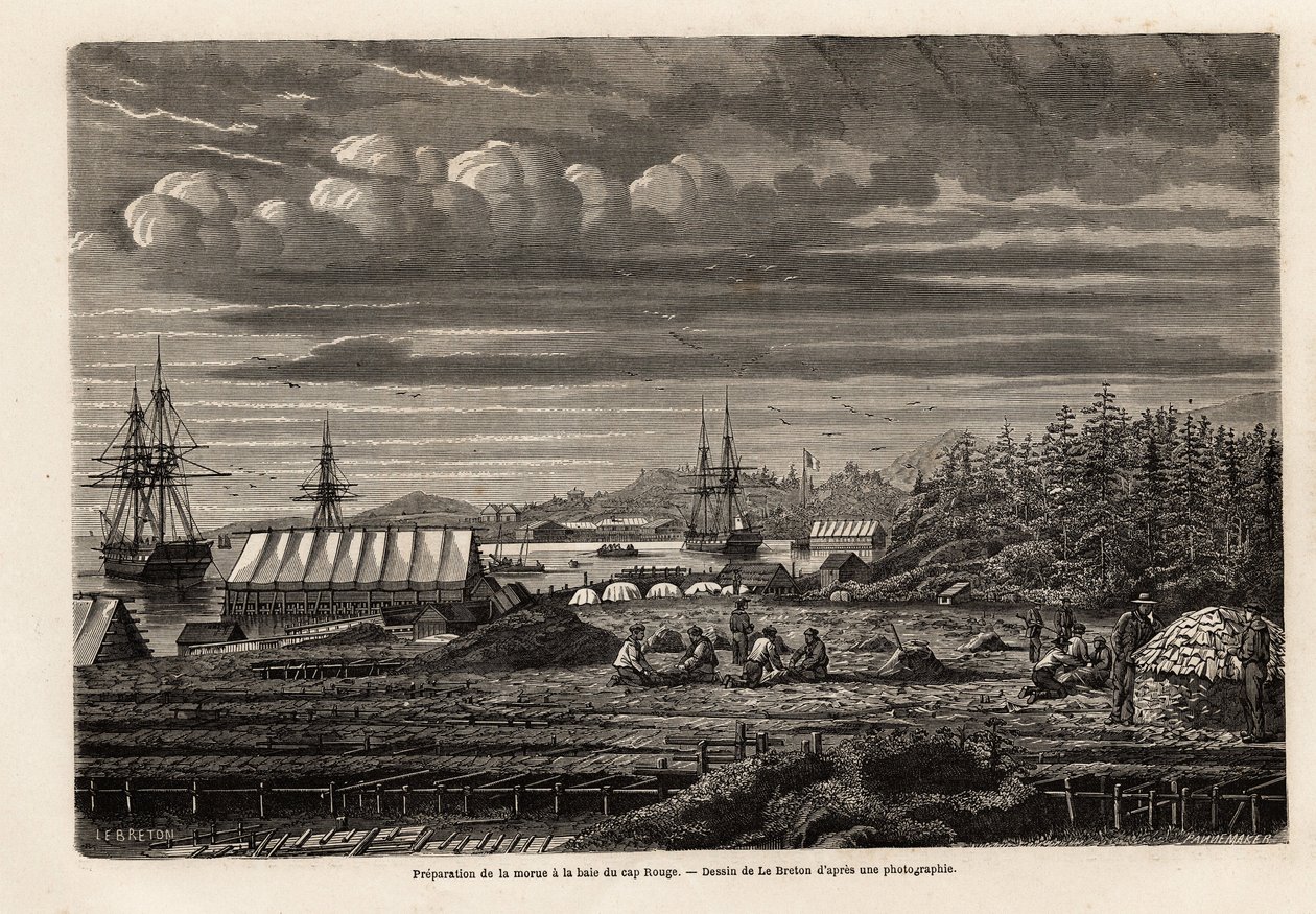 Preparation of cod at the bay of Cap Rouge by Louis Le Breton