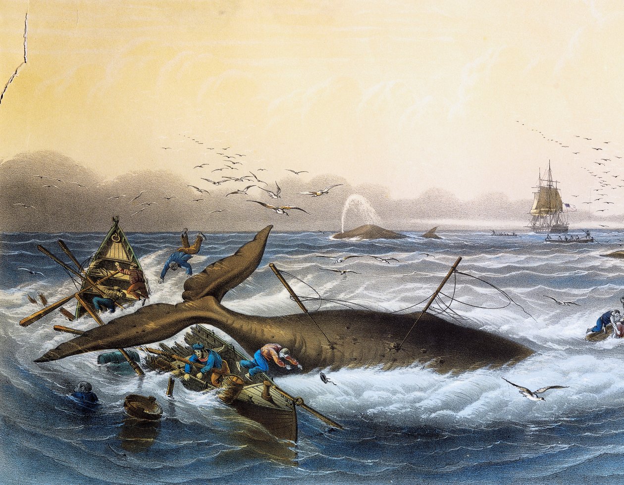 Whaling in South Seas by Louis Le Breton