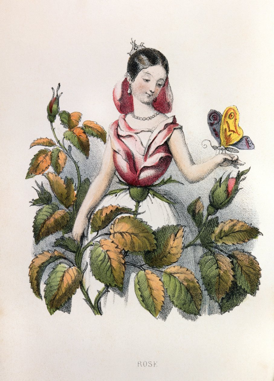 Allegory, the Rose by Louis Simon (1810-1870) Lassalle