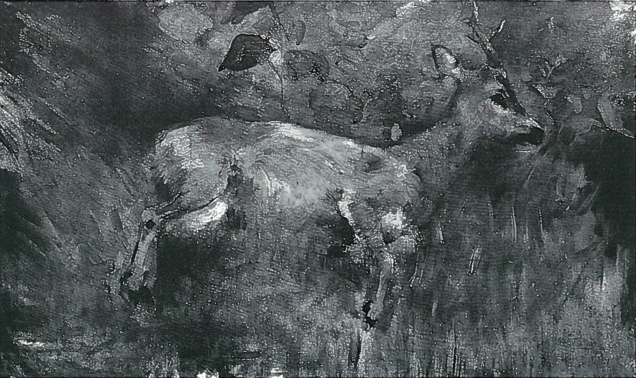 Dead Roe Deer by Lovis Corinth: Premium art reproduction