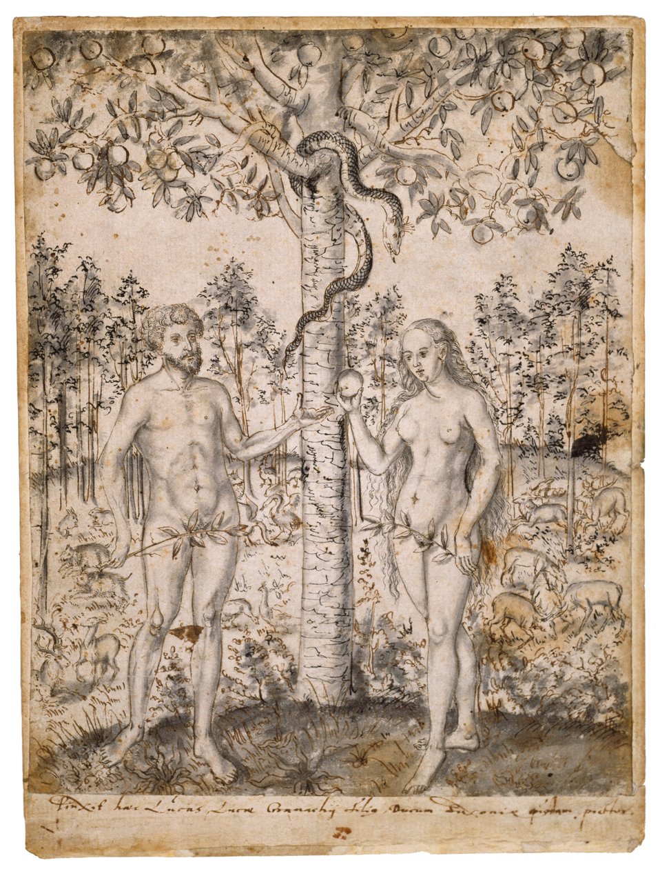 The Fall of Man, after 1549 by Lucas Cranach the Elder