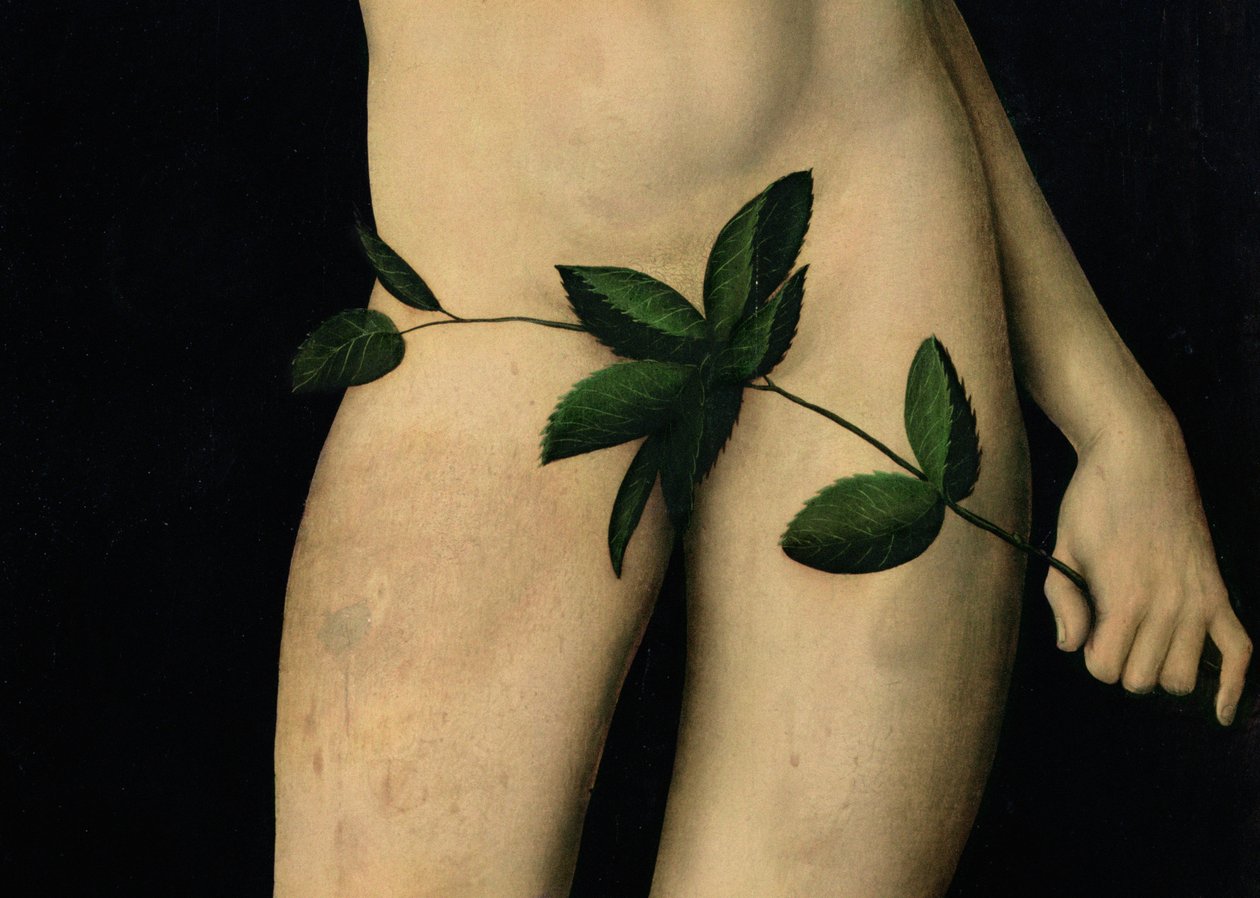 Adam (detail) by Lucas Cranach the Elder