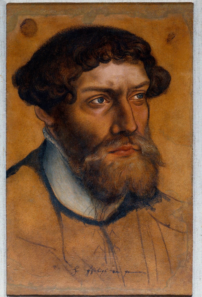 Portrait of Philip I of Pomerania, Prince of the Reform by Lucas the Elder Cranach