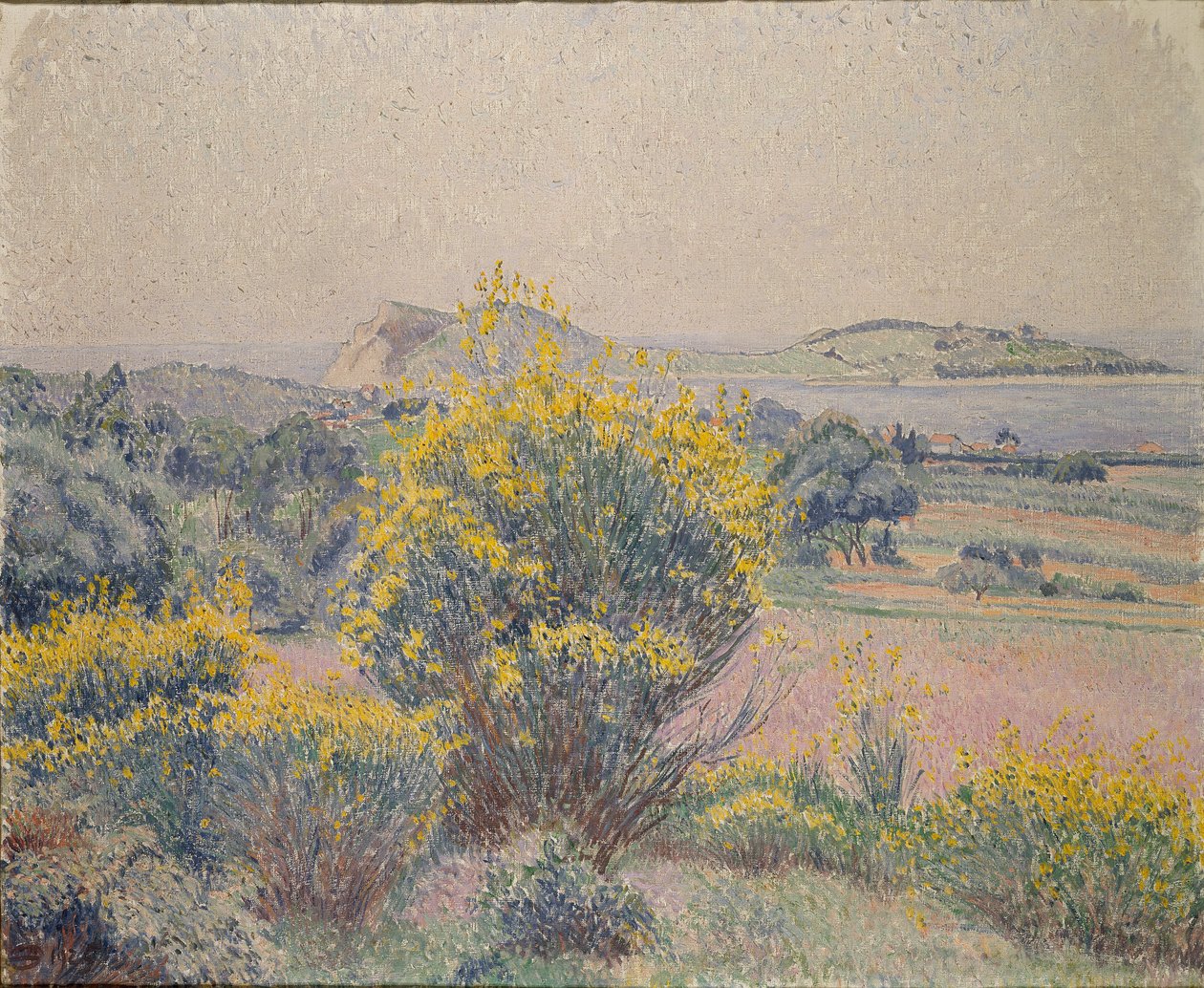 Broom, Le Brusq by Lucien Pissarro: Premium art reproduction