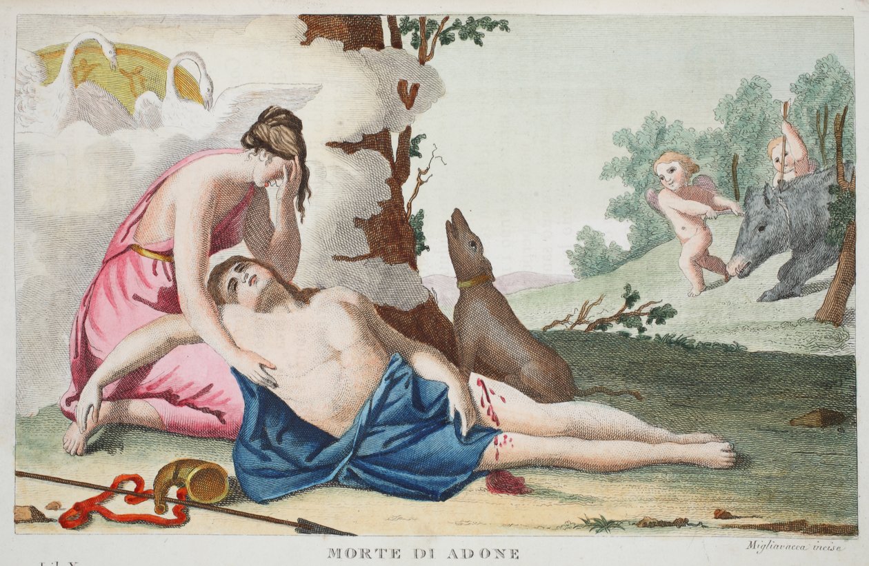 Death of Adonis, Book X, illustration from Ovid's Metamorphoses