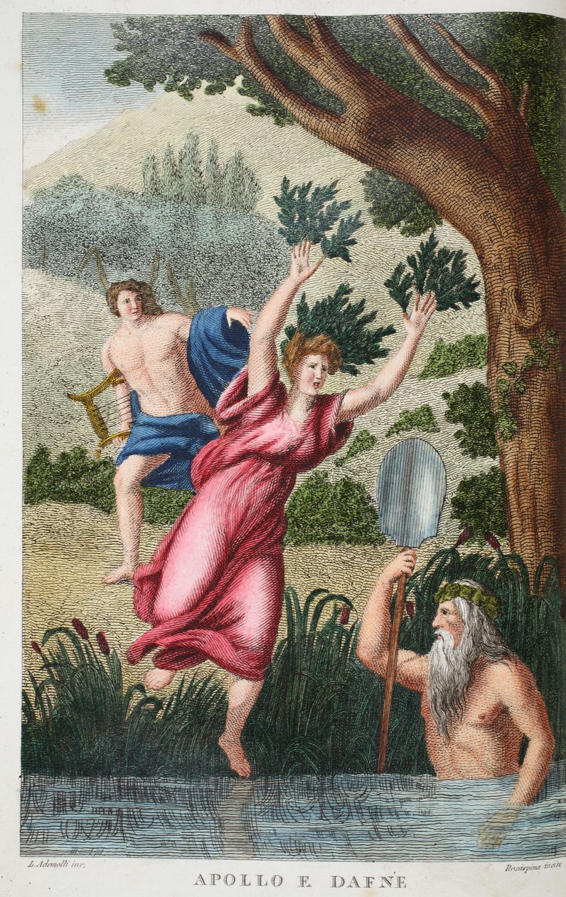 Phoebus and Daphne or Apollo e Dafne, illustration from Ovid's ...