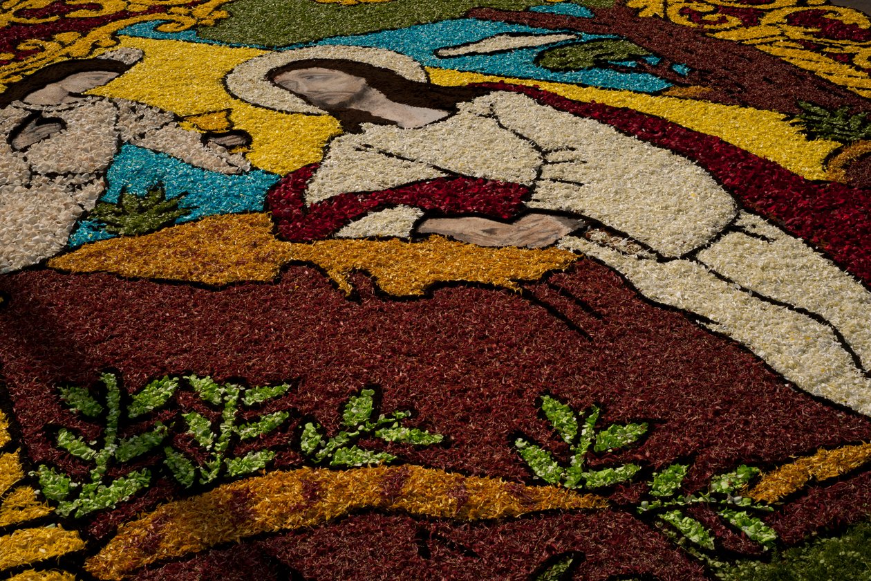 Holy Week Surco Flower Carpet, Lima, Peru, 2015 by Luis Rosendo.