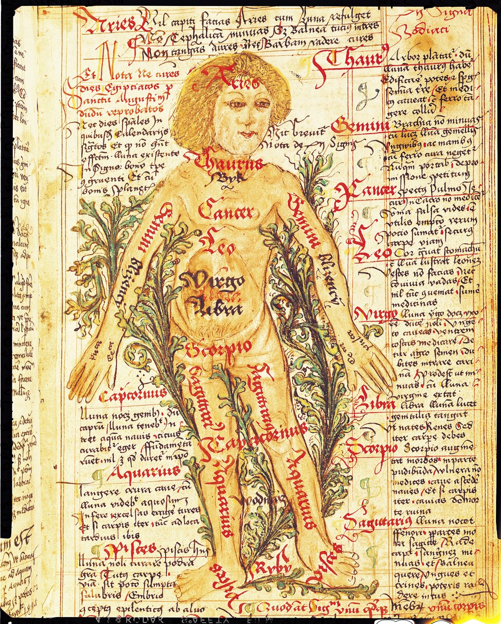 Influence of the Stars on Illnesses of the Human Body, from Tractatus de Pestilencia by M, Albik