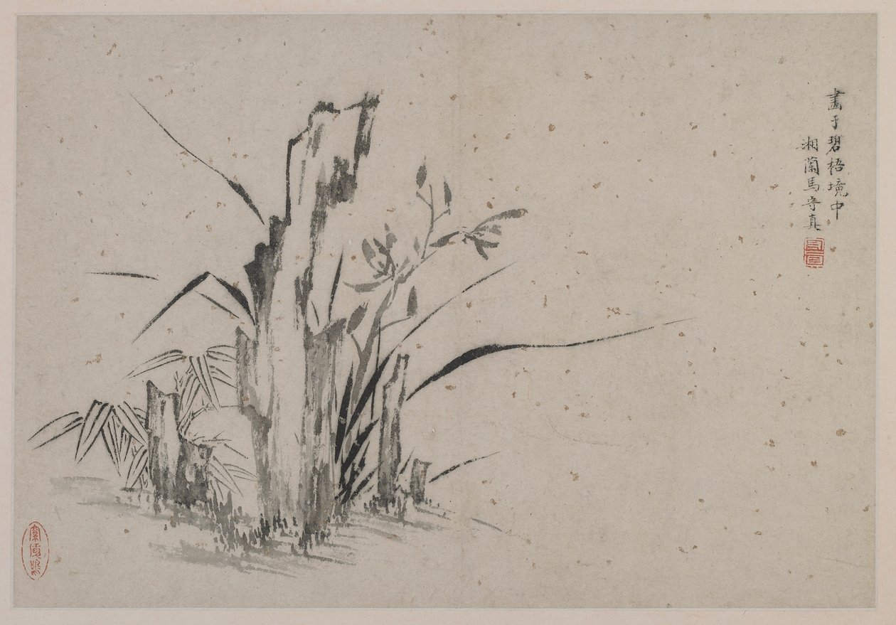 Rocks, orchids and bamboo, Ming dynasty by Ma Shouzhen