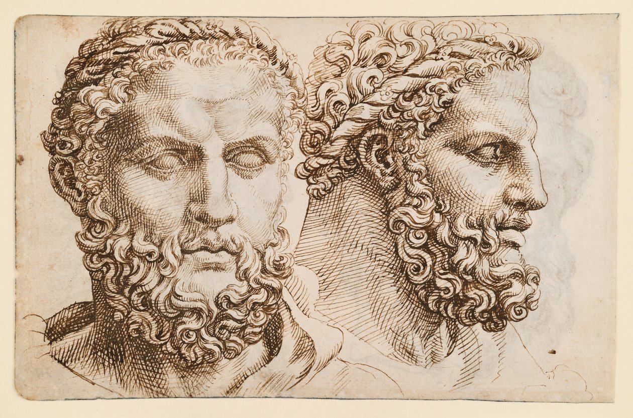 Two Studies after the Head of the Vatican 