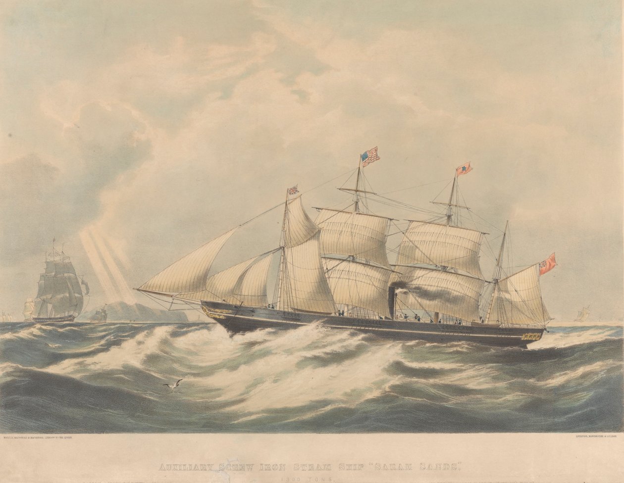 Auxiliary Screw Iron Steam Ship 