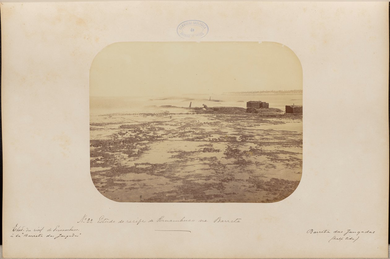 Study of the Reef of Pernambuco at Barreta by Marc Ferrez