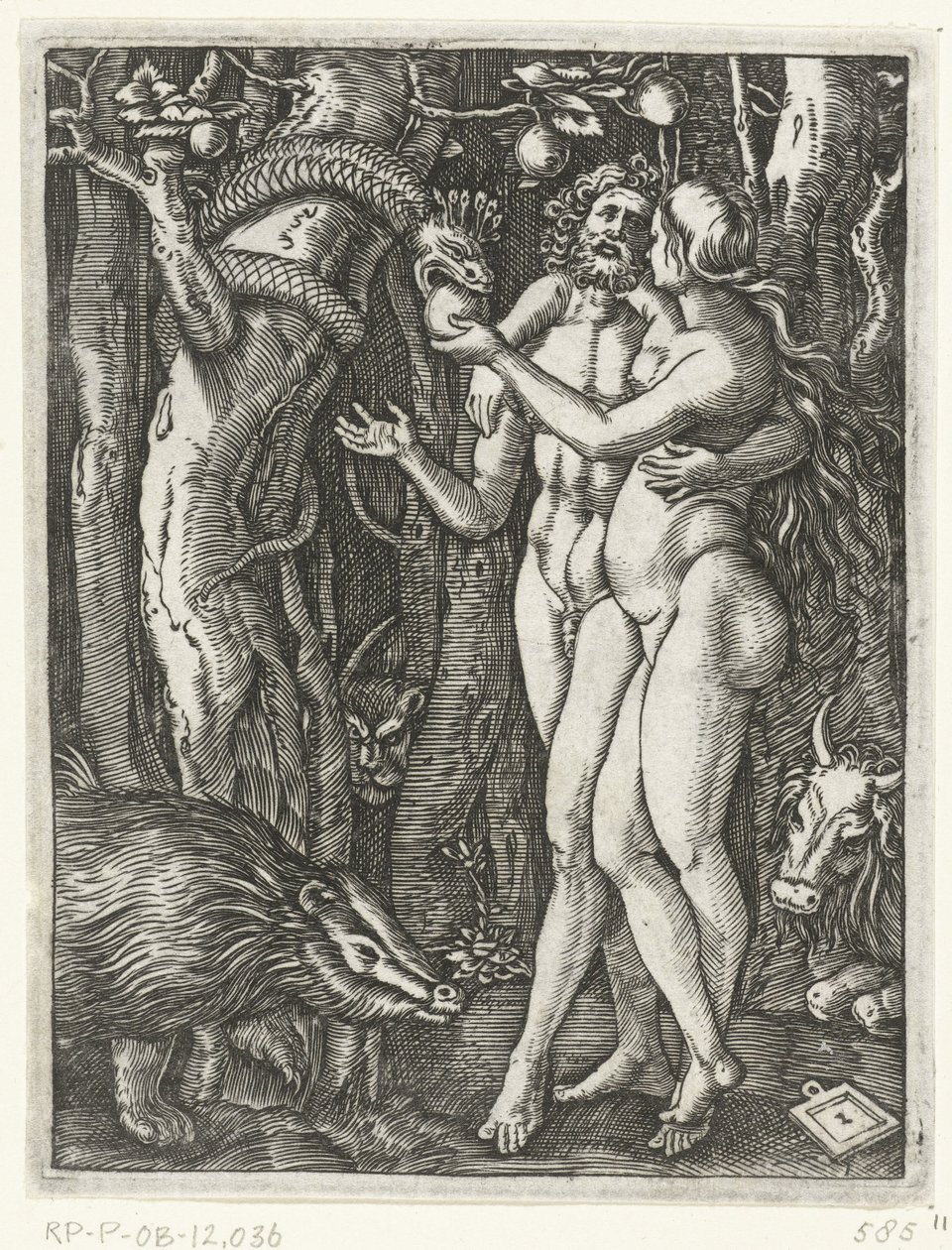 Adam and Eve at the Fall in Paradise by Marcantonio Raimondi