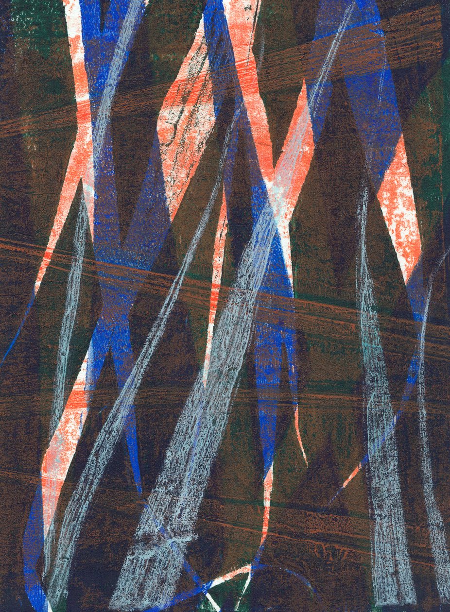Wild Oats, 2024 by Marco Campedelli
