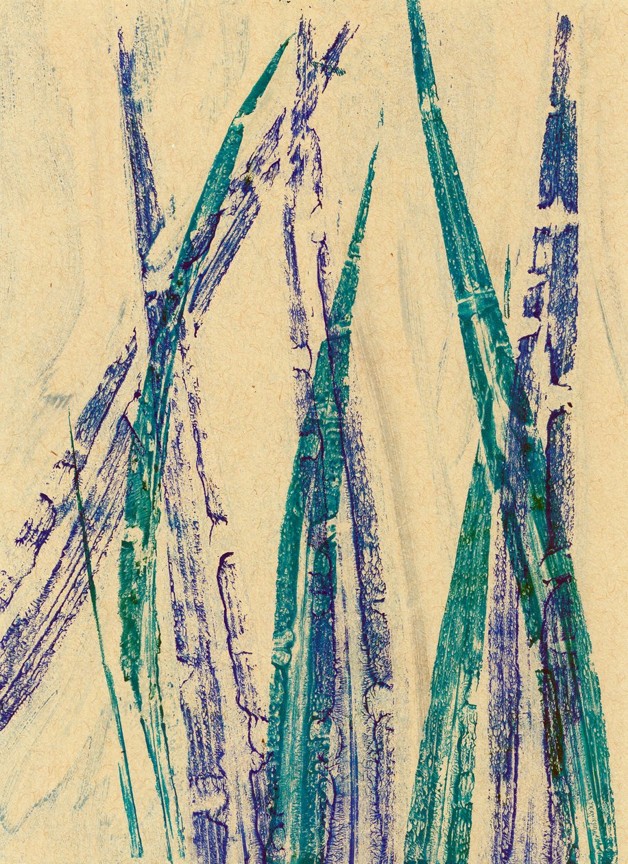 Wild Oats by Marco Campedelli