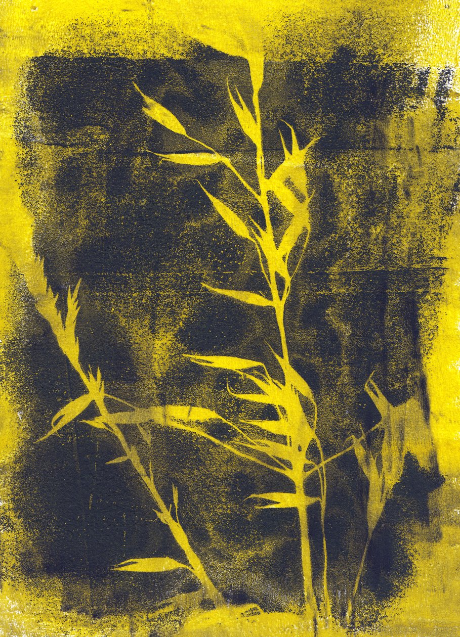 Yellow Leaves by Marco Campedelli
