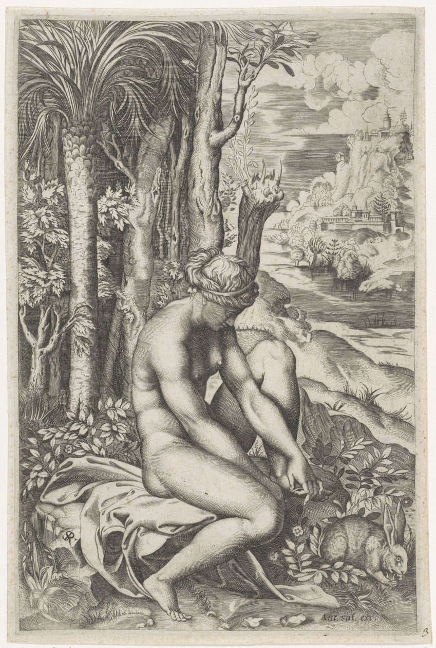Venus Wounded by the Thorn of a Rose by Marco Dente