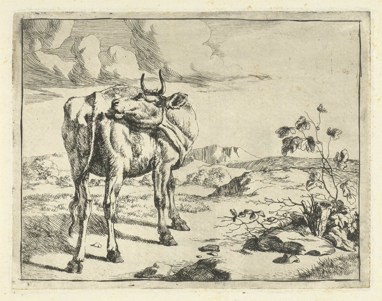 Cow Licking Itself (Cattle and Pigs) by Marcus de Bye