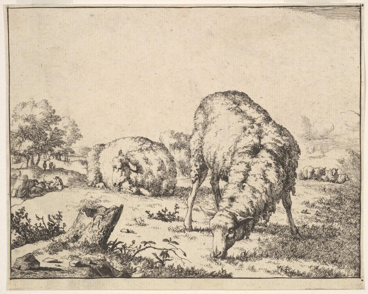 Sheep, from a set of 16 plates by Marcus de Bye