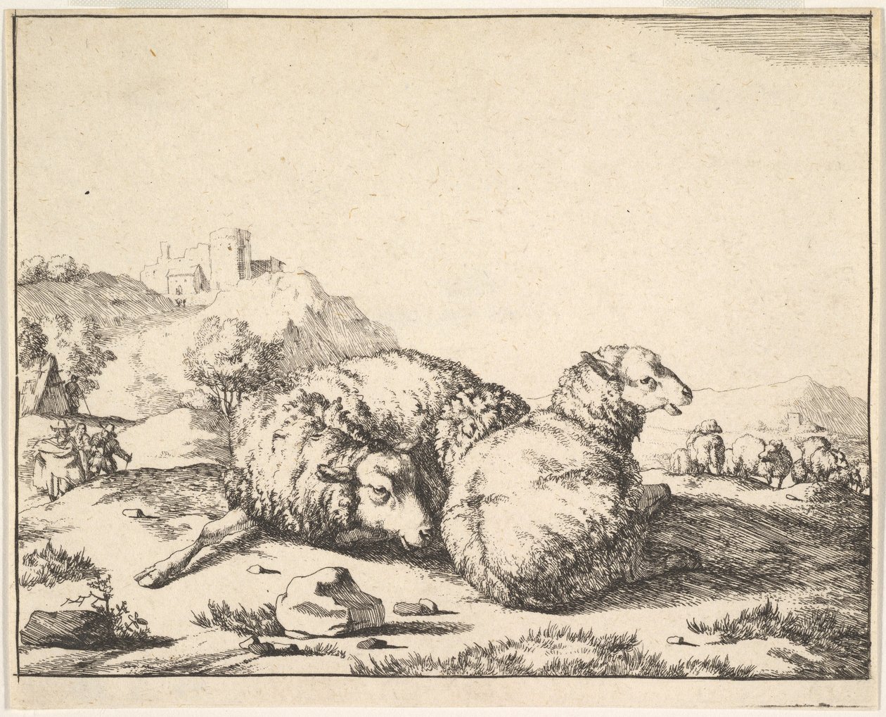 Sheep, from a Set of 16 Plates by Marcus de Bye