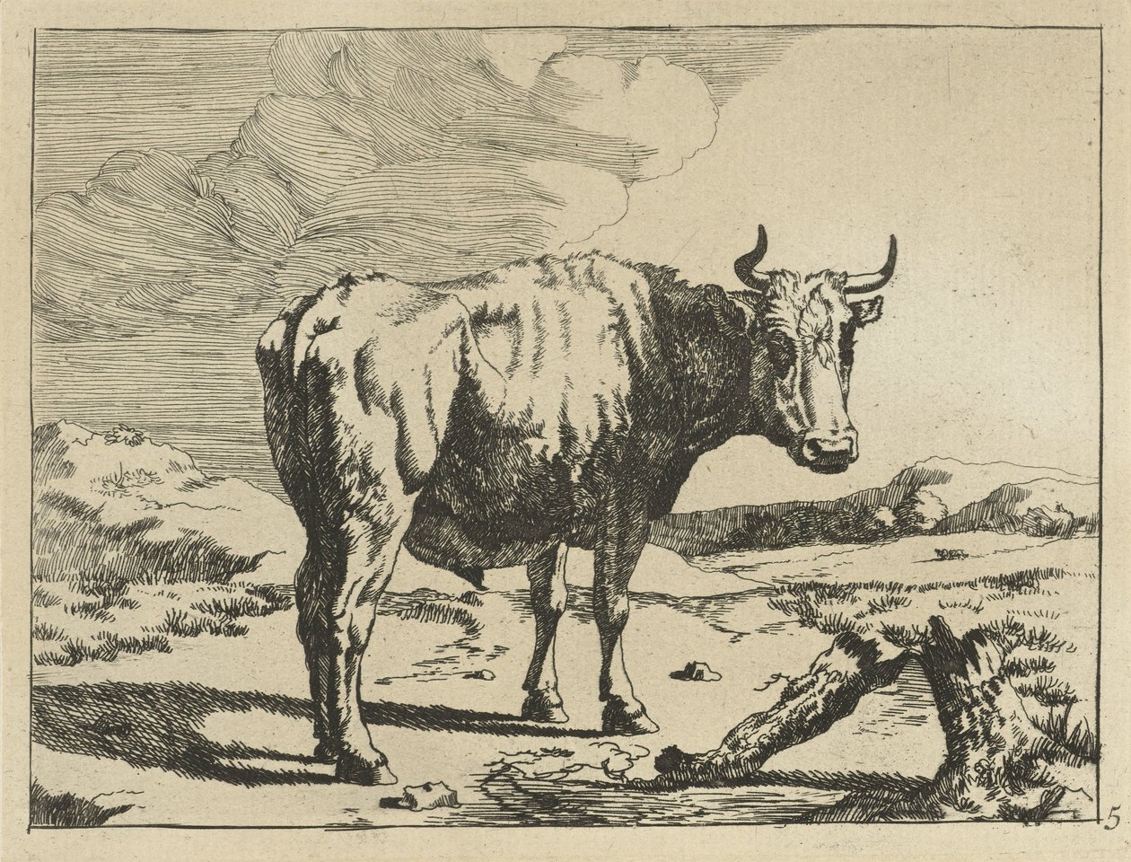 Bull Standing by a Tree Stump (Cows and Sheep series) by Marcus de Bye