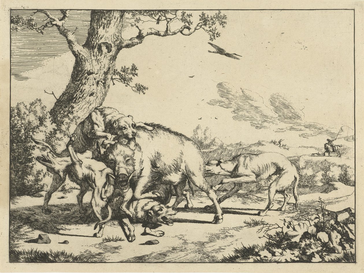 Boar Attacked by Four Hunting Dogs (Hunting Dogs) by Marcus de Bye