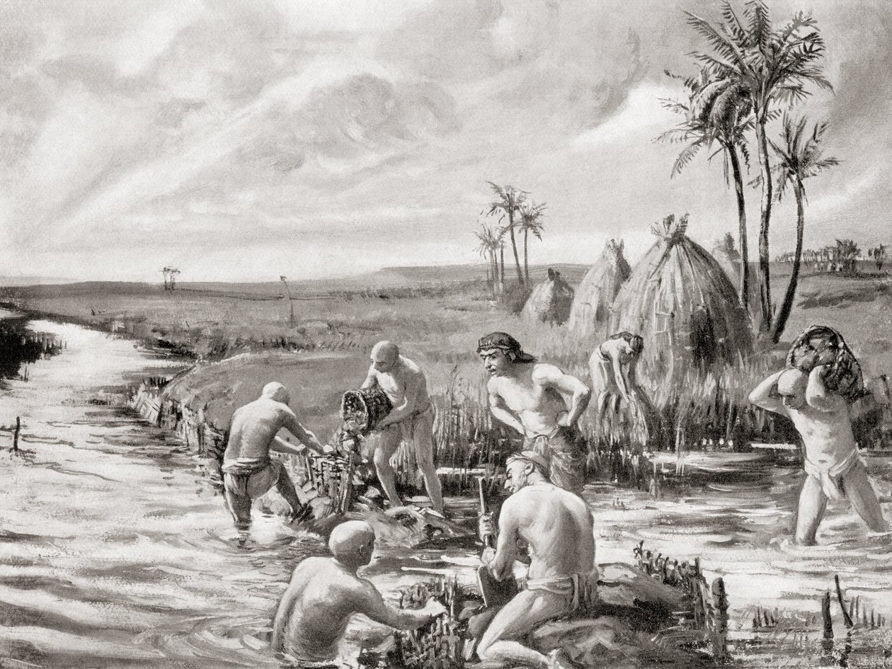 Early Settlers in Babylonia Draining the Marshes by Building a Dam, from Hutchinson
