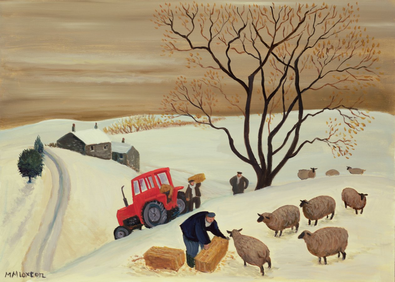 Taking Hay to the Sheep by Tractor by Margaret Loxton