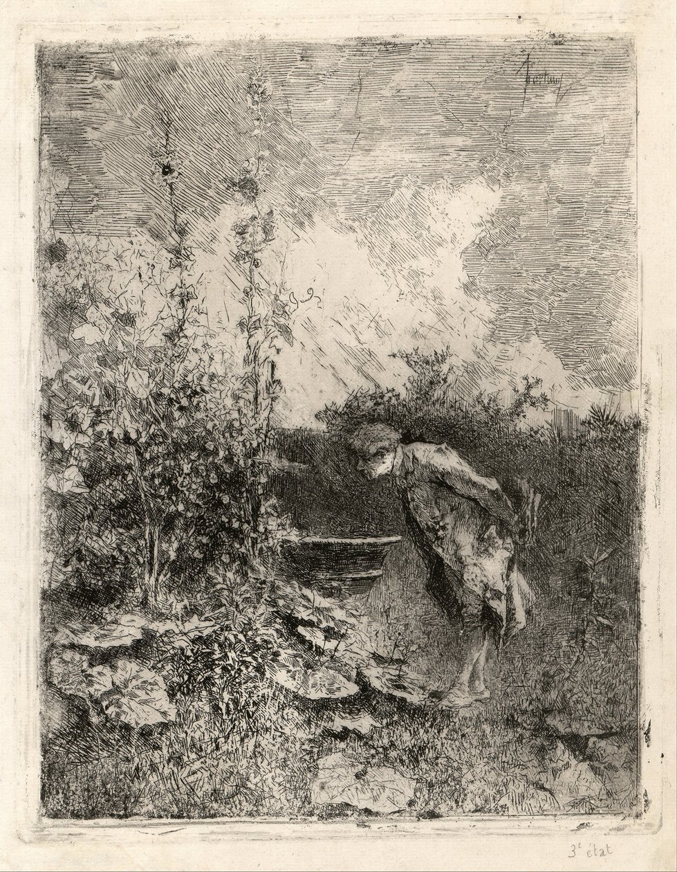 The Botanist by Marià Fortuny Marsal