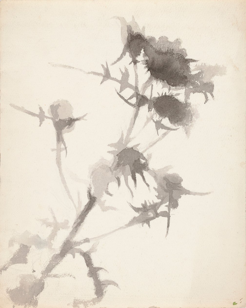 Thistles by Maria Wiik