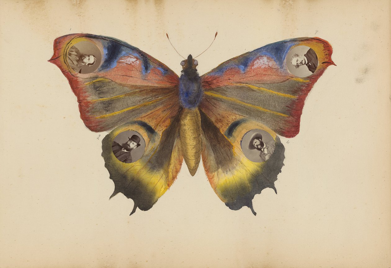 The Madame B Album by Marie-Blanche-Hennelle Fournier
