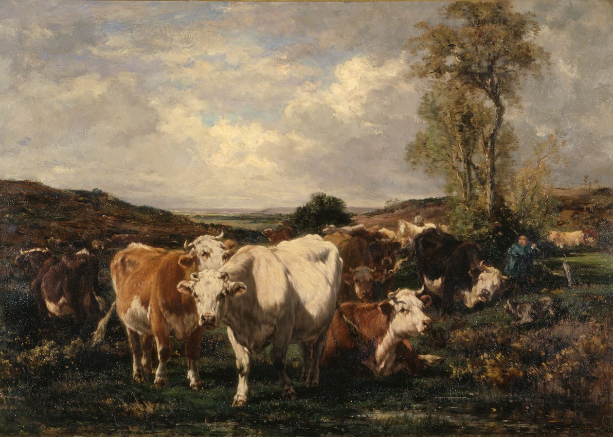 Herd by Marie Dieterle