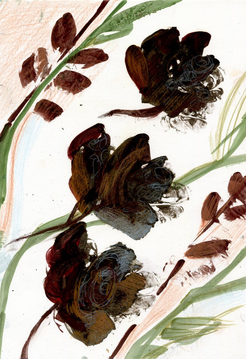 Dry flowers by Marina Falco
