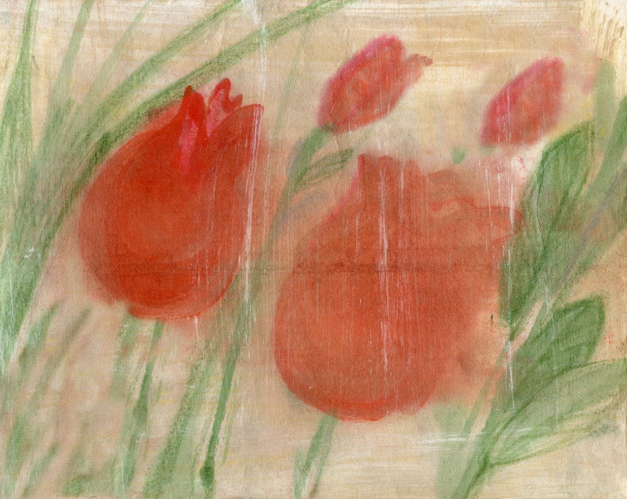 Red Tulips by Marina Falco